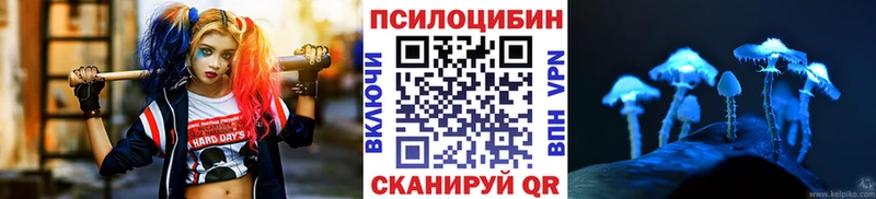 магазин продажи   Волчанск  ссылка на мегу   Галлюциногенные грибы MAGIC MUSHROOMS 